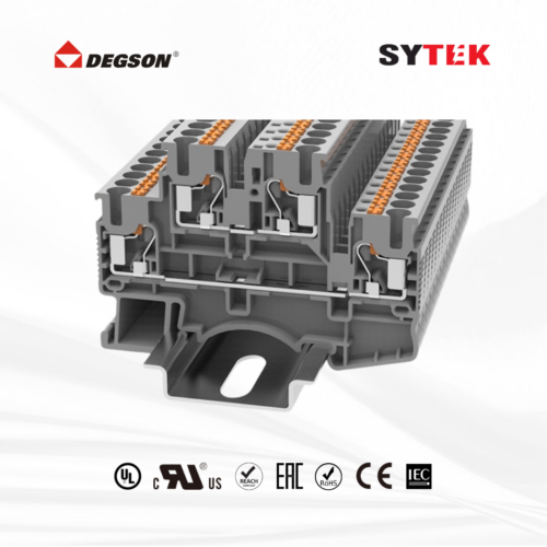 DSKK2.5